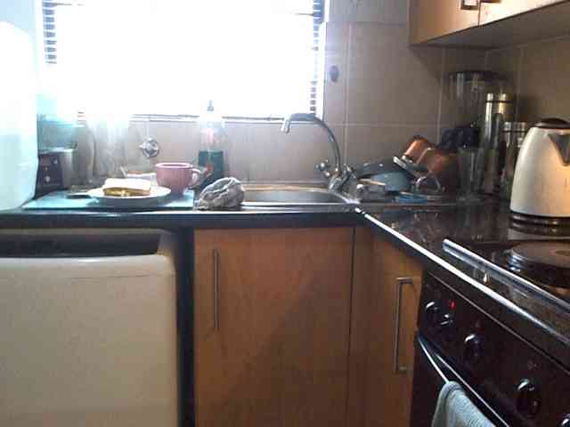 NewBeginnings8 webcam