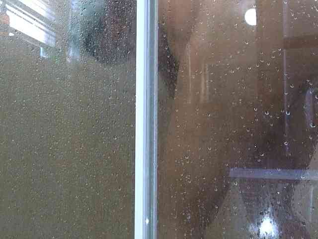 NewBeginnings8 webcam