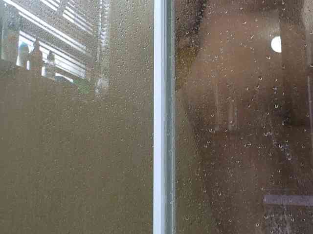 NewBeginnings8 webcam