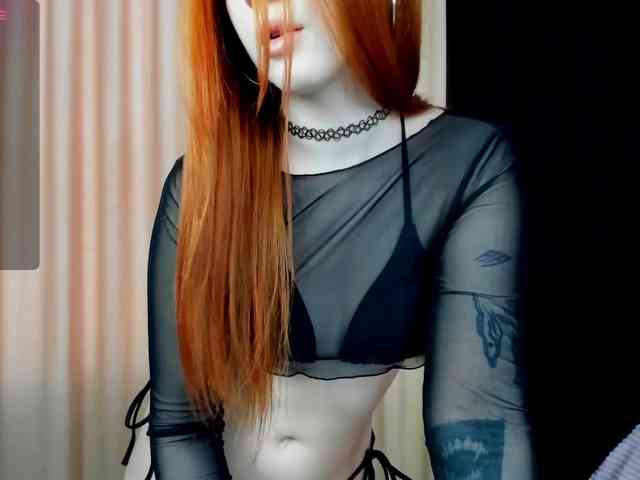 MollyKitty MollyKitty