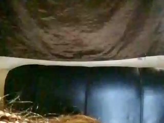 Davinalola Porn Show