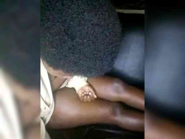 Davinalola Davinalola