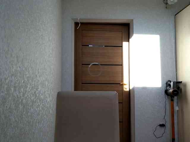 DelfinaStrauss webcam