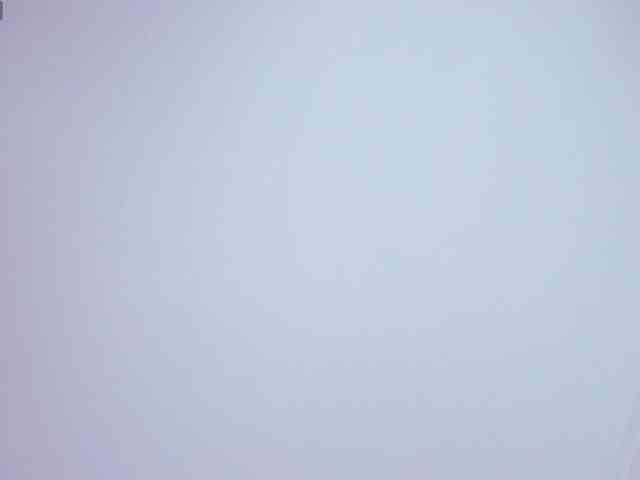 TeamSweetSins webcam