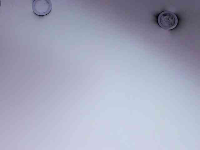 TeamSweetSins webcam