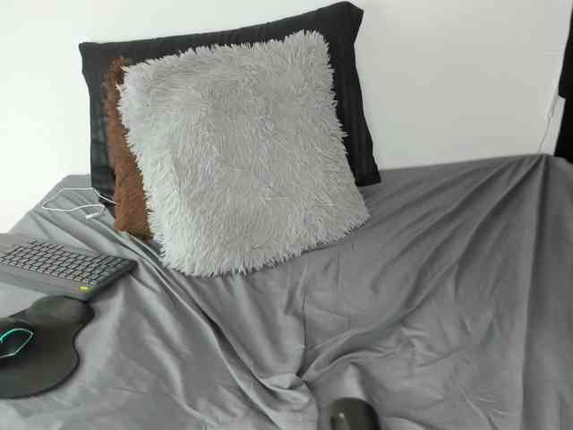 medusa-charity webcam