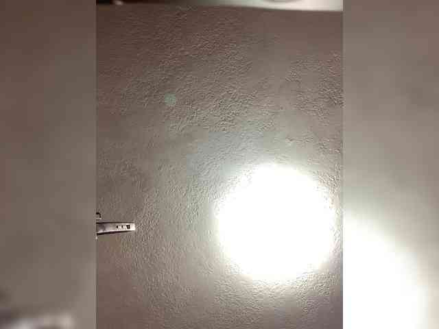 QUEENANDJOKER QUEENANDJOKER