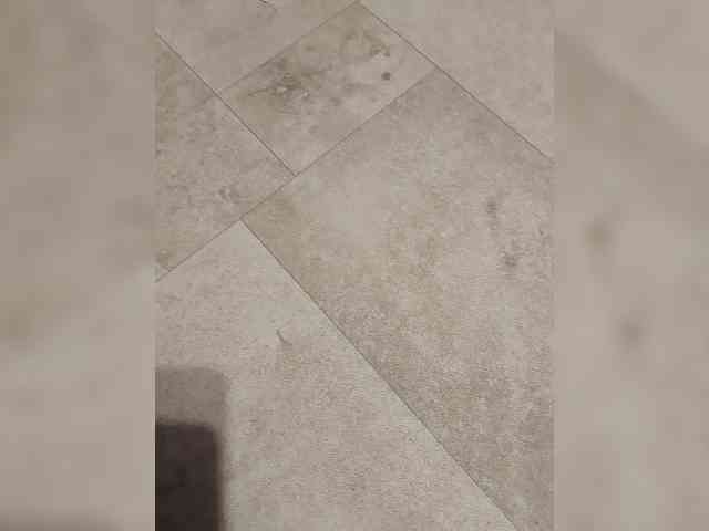 parapapa1-1 parapapa1-1