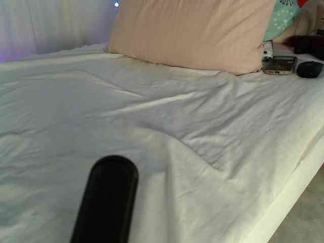 Coralreyes-iha webcam