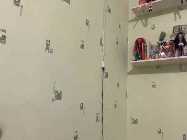 SIMONA-CHARON webcam