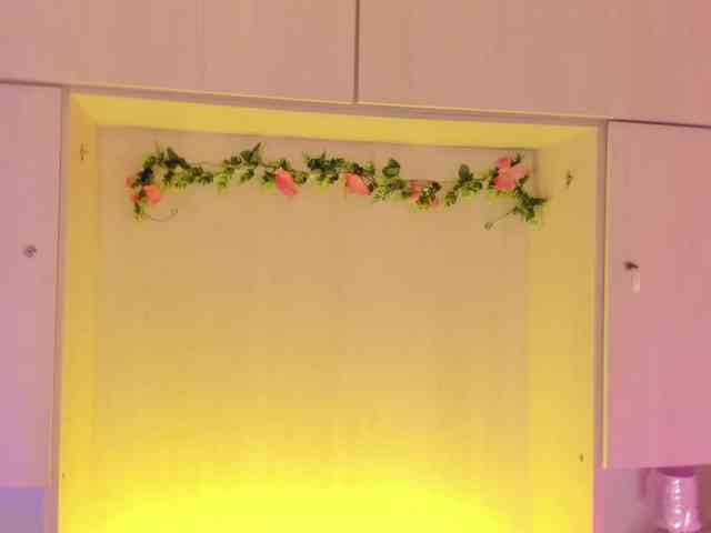 ShirleyJones ShirleyJones