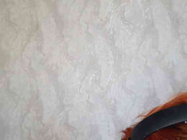 CarenOstrander CarenOstrander