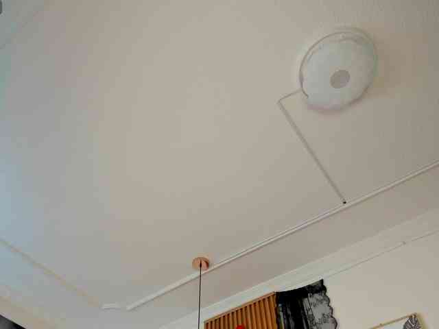 nicolwhite nicolwhite