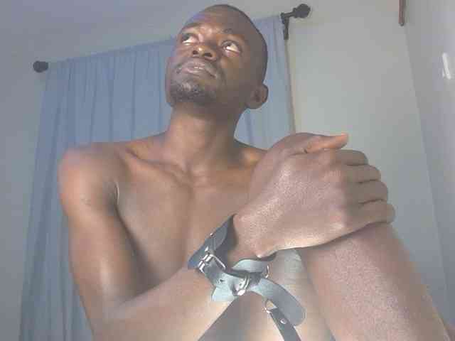 blackLewis blackLewis