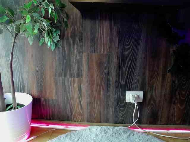 RavenFoxy Live Webcam on BongaCams