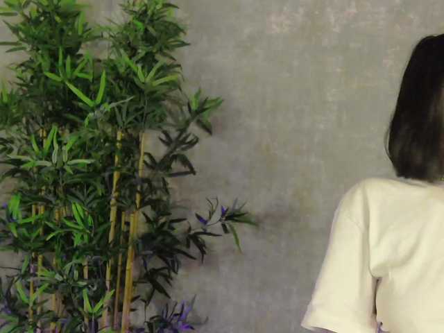 AmisRayy – webcam model profile photo