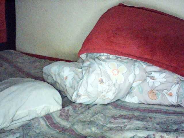 Hornysoul360's BongaCams show and profile