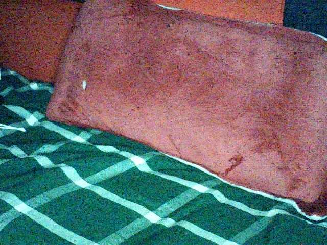 Hornysoul360's BongaCams show and profile