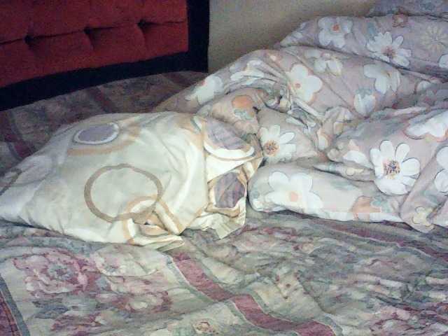 Hornysoul360's BongaCams show and profile