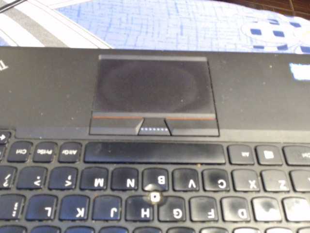 Preview of queenbee25