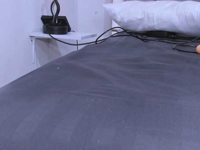 ZafiraNavarro's BongaCams show and profile