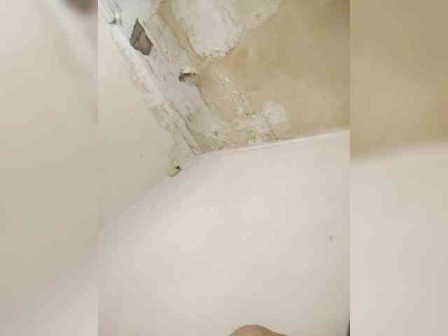 Pareja-hombre-y-trans69 webcam