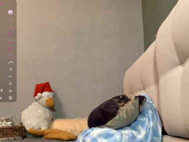 TyeshaDirksen webcam