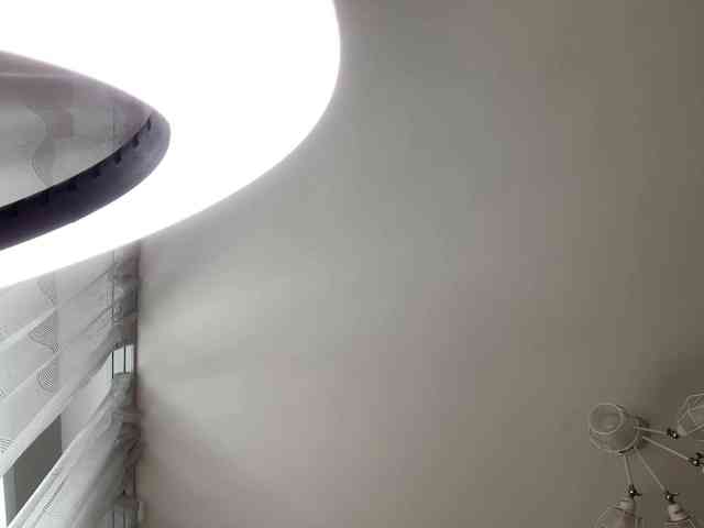 TyeshaDirksen webcam