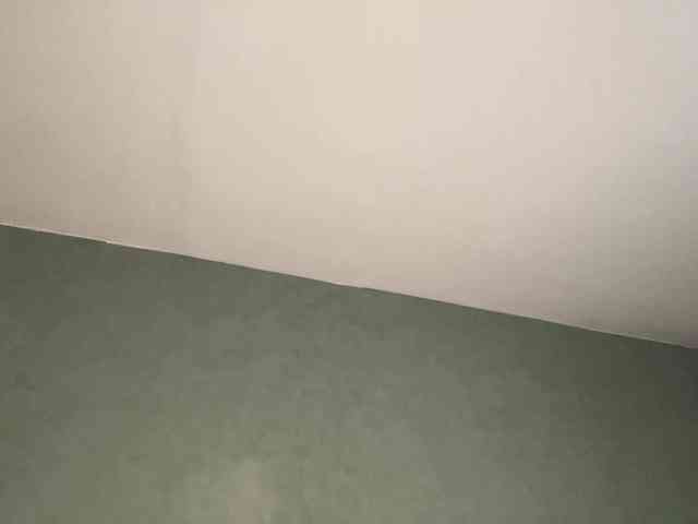 TyeshaDirksen webcam