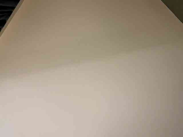 TyeshaDirksen webcam