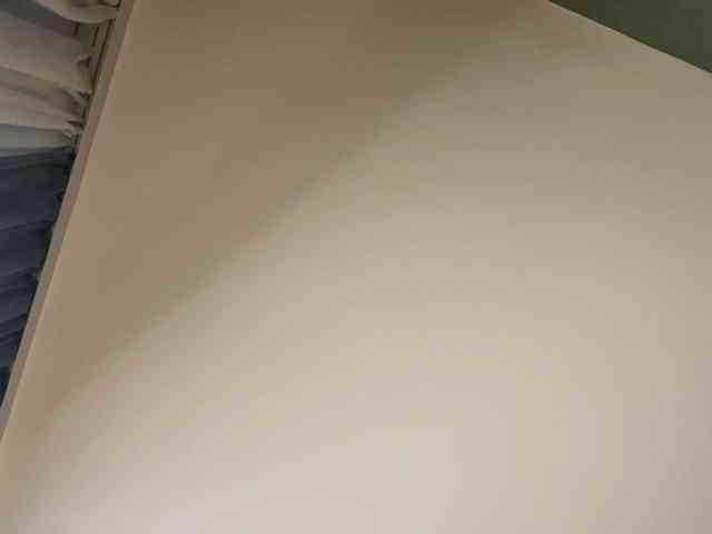 TyeshaDirksen webcam