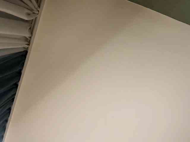 TyeshaDirksen webcam