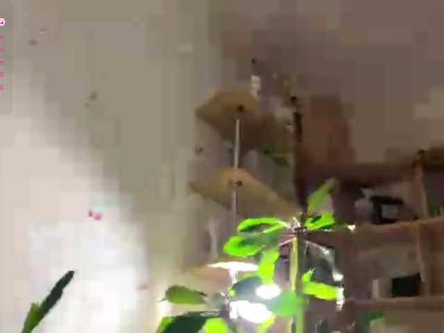 Preview of septemberrarogal