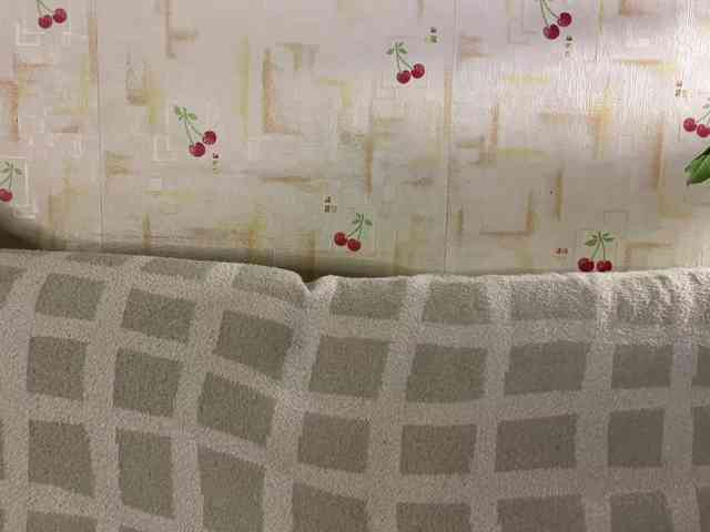 SeptemberRarogal webcam