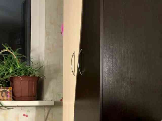 SeptemberRarogal SeptemberRarogal