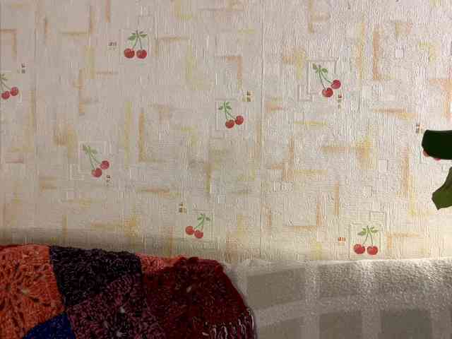 SeptemberRarogal webcam