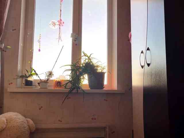 SeptemberRarogal webcam