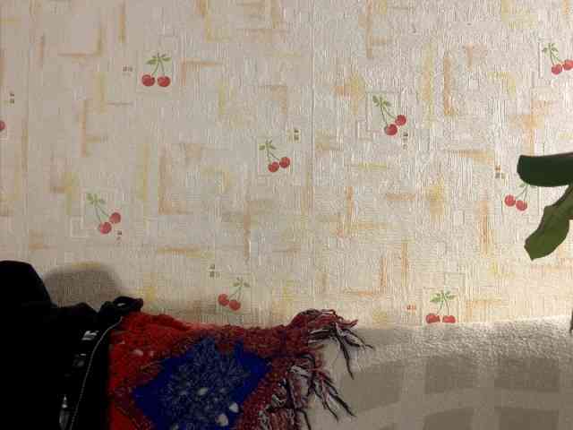 SeptemberRarogal SeptemberRarogal