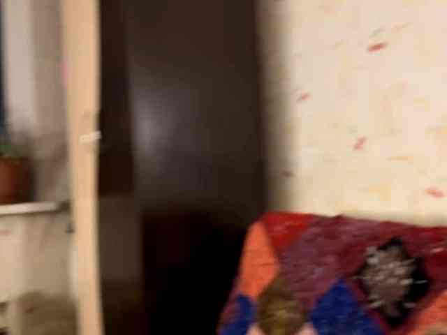 SeptemberRarogal webcam