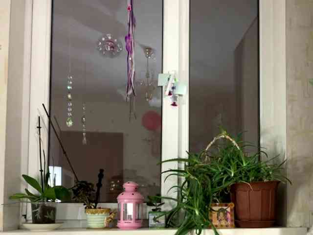 SeptemberRarogal webcam