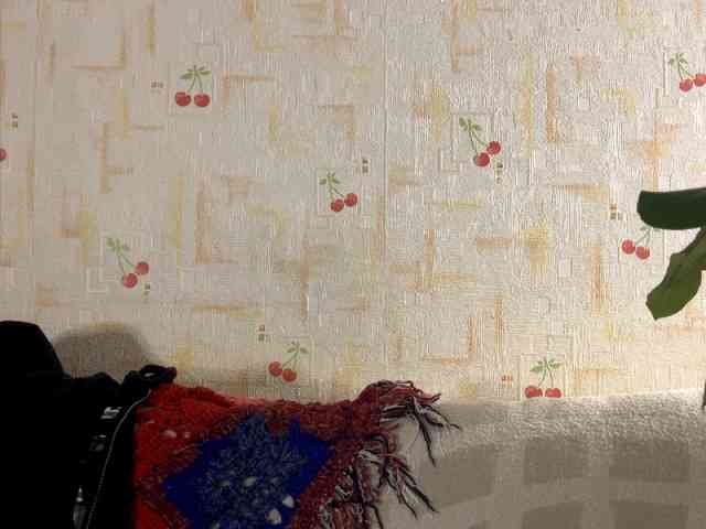 SeptemberRarogal webcam