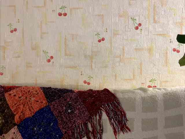 SeptemberRarogal webcam