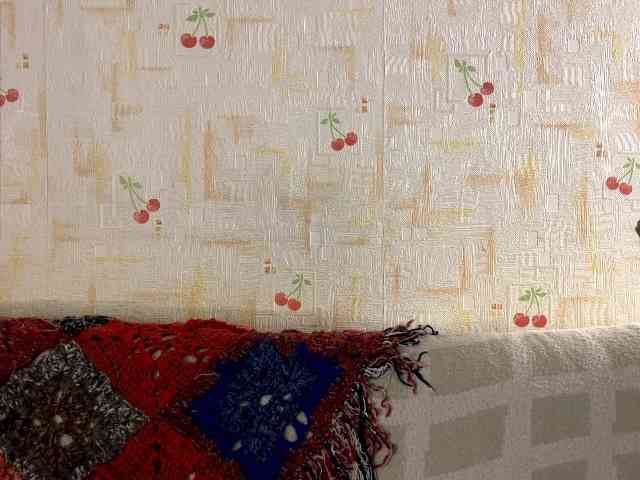 SeptemberRarogal webcam