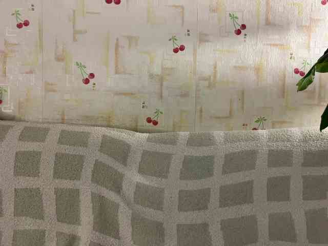 SeptemberRarogal webcam