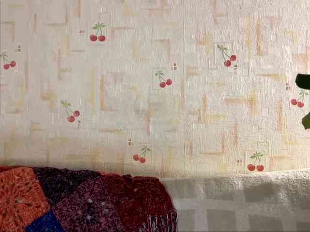 SeptemberRarogal webcam