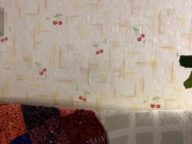 SeptemberRarogal webcam