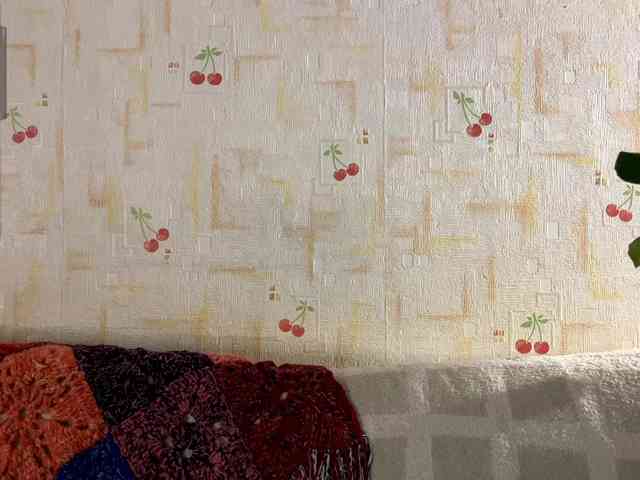 SeptemberRarogal webcam