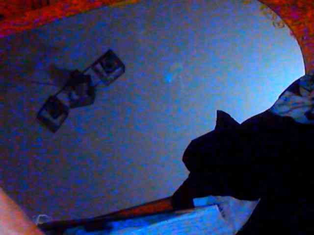 YaBALENCIAGA Live Webcam on BongaCams