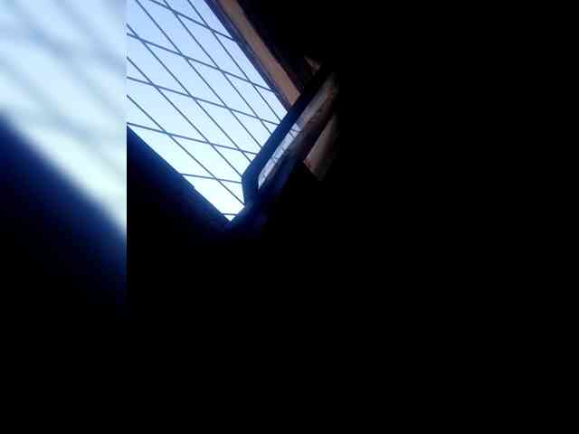 zoyadimasalong06 webcam