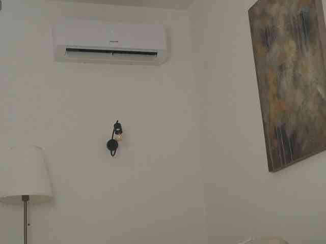 Adisson-fox Adisson-fox